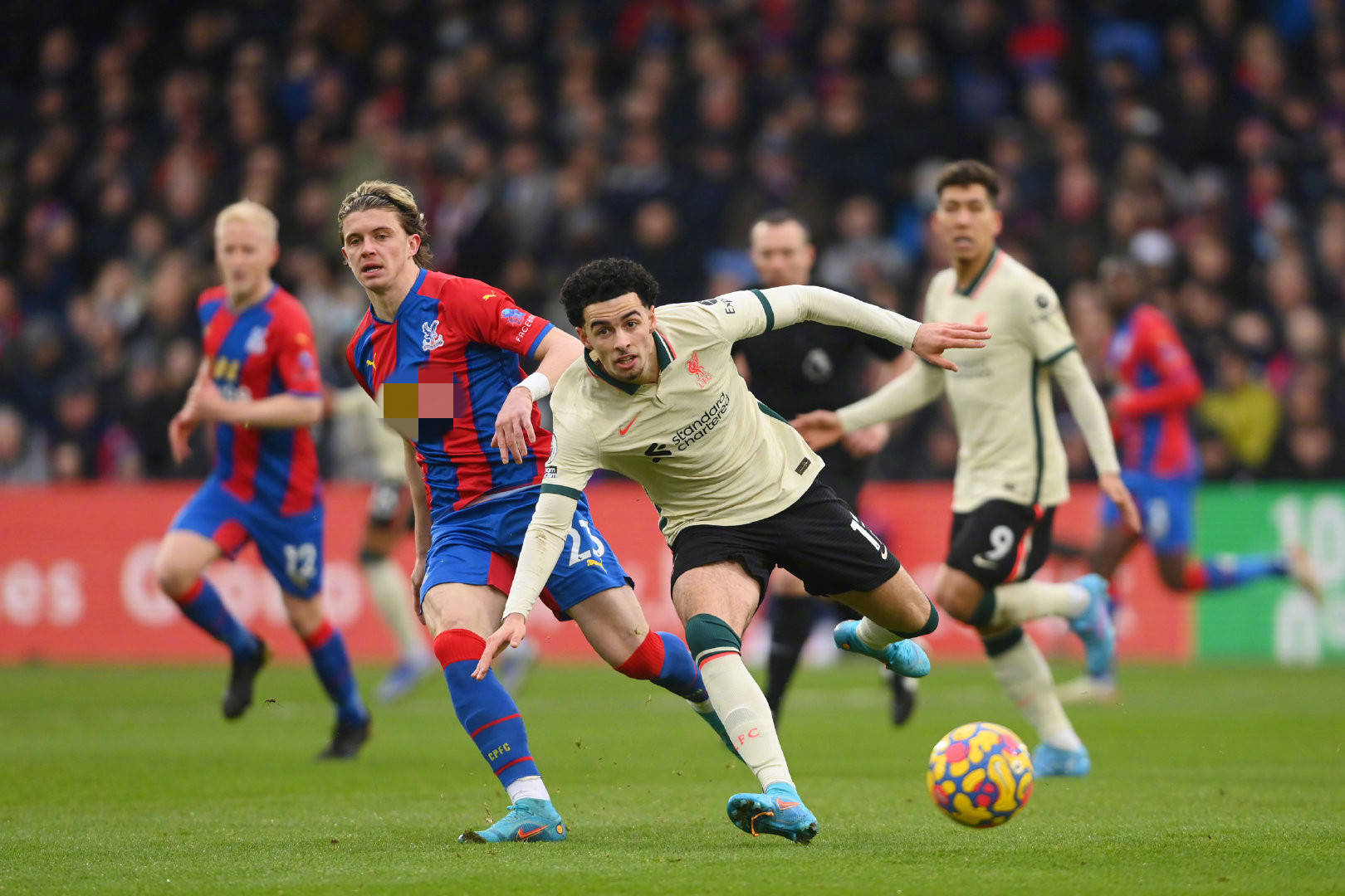 科贝尔作为 科贝尔作为